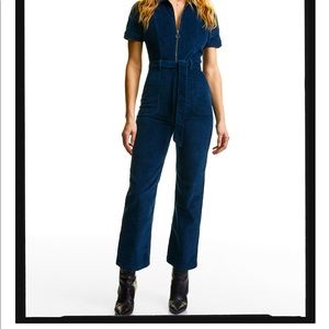 Aritzia Denim Forum Jerry Zip Jumpsuit